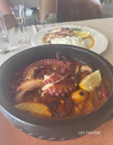 Хоботница из-под сача (hobotnica ispod saca) - блюдо черногорского приморья