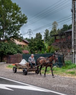 Дороги Румынии - лошадь с повозкой