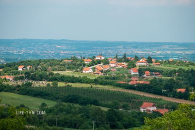 Виноградники в Сербии