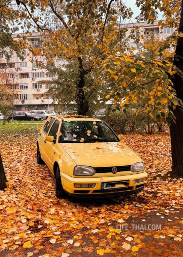 Осень на улицах Белграда, Сербия