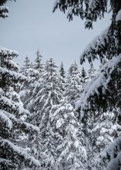 В Словению зимой: мой отзыв