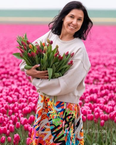 Фестиваль тюльпанов в Нидерландах