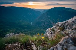 Вид на каньон реки Тара со смотровой Чуревац, Думитор в Черногории