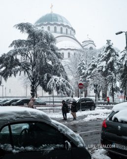 Белград в апреле - цветущие деревья и снег