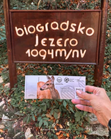 Национальный парк Biogradska gora в Черногории
