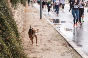 Старт Бокельского марафона на набережной Пина в Тивате