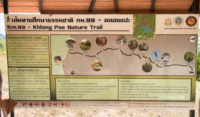 Национальный парк Као Сок в Таиланде